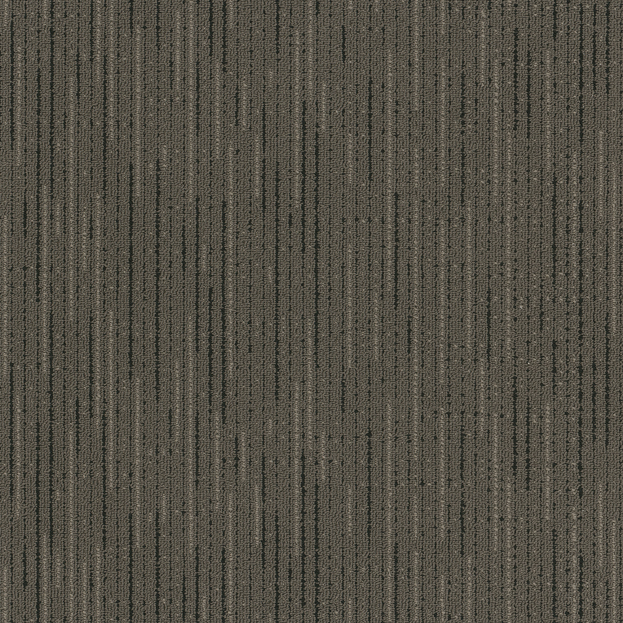 Pentz Commercial VITALITY BROADLOOM