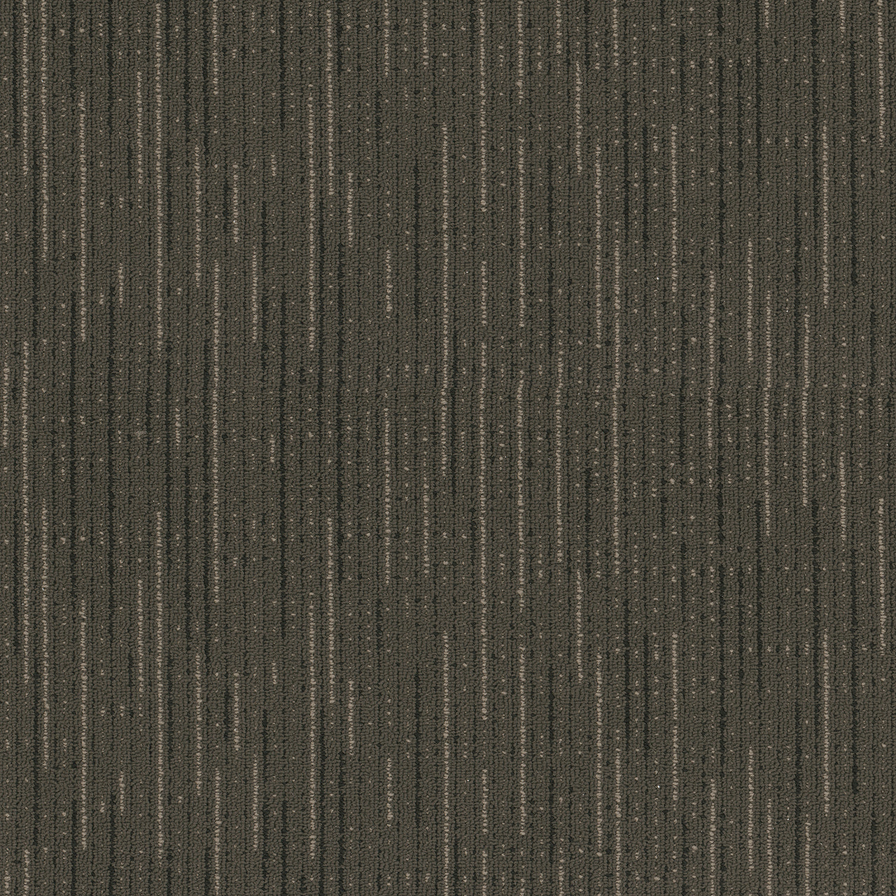 Pentz Commercial VITALITY BROADLOOM