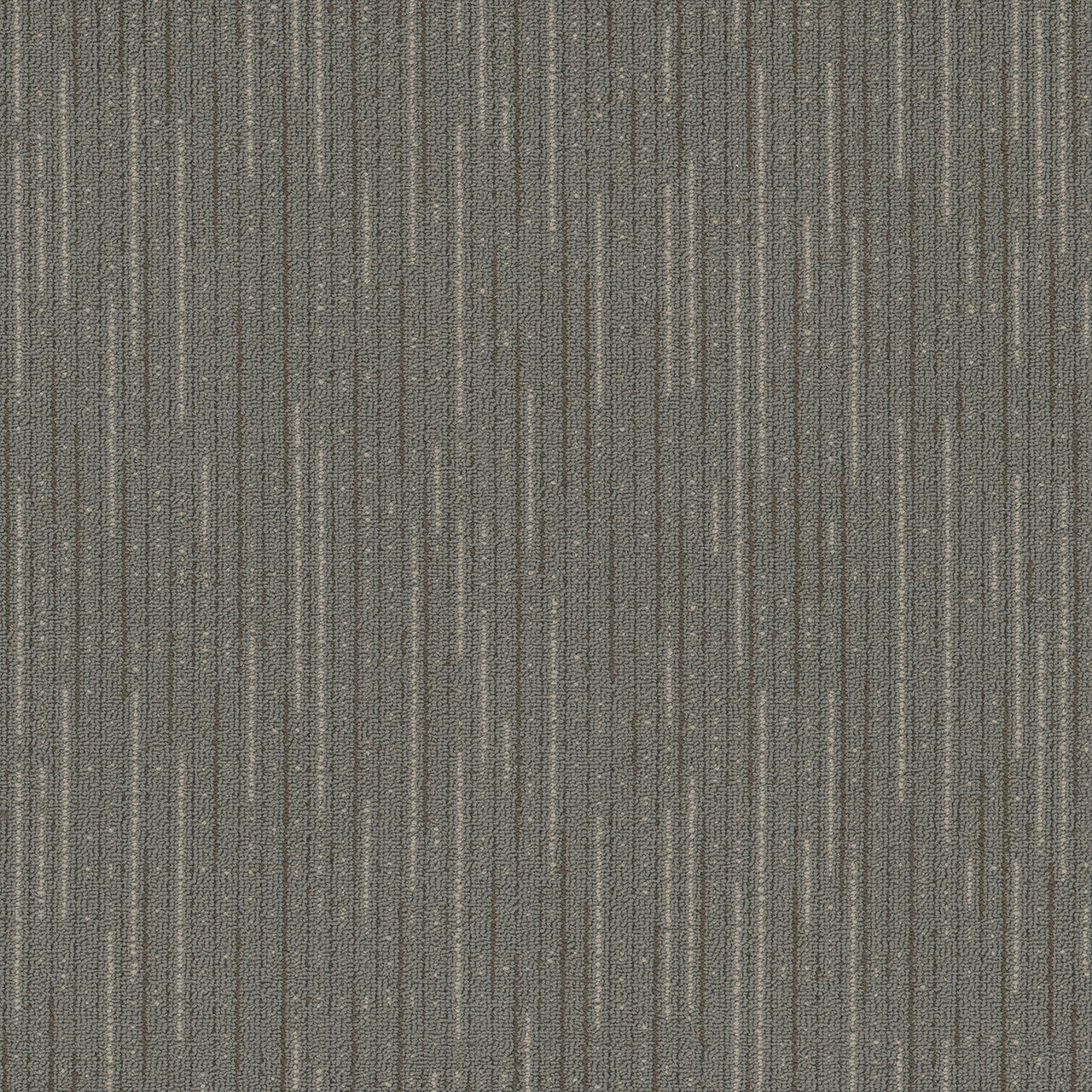 Pentz Commercial VITALITY BROADLOOM