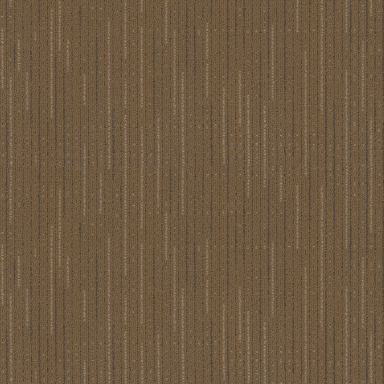 Pentz Commercial VITALITY BROADLOOM