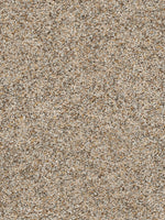 Load image into Gallery viewer, Dream Weaver CONFETTI I

