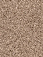 Load image into Gallery viewer, Dream Weaver GOTHEM

