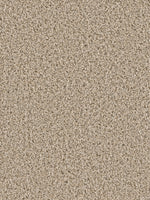 Load image into Gallery viewer, Dream Weaver COSMOPOLITAN II
