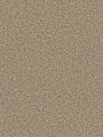 Load image into Gallery viewer, Dream Weaver COSMOPOLITAN II
