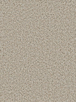 Load image into Gallery viewer, Dream Weaver COSMOPOLITAN II
