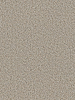 Load image into Gallery viewer, Dream Weaver COSMOPOLITAN II
