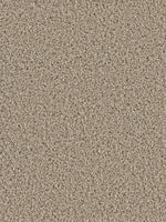Load image into Gallery viewer, Dream Weaver COSMOPOLITAN II
