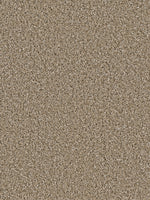 Load image into Gallery viewer, Dream Weaver COSMOPOLITAN II
