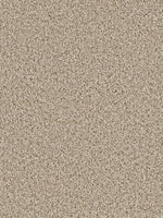 Load image into Gallery viewer, Dream Weaver COSMOPOLITAN II
