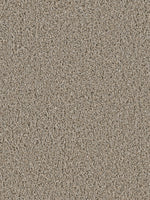 Load image into Gallery viewer, Dream Weaver COSMOPOLITAN II
