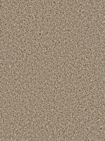 Load image into Gallery viewer, Dream Weaver COSMOPOLITAN II
