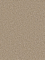 Load image into Gallery viewer, Dream Weaver COSMOPOLITAN II
