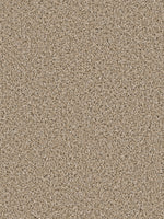 Load image into Gallery viewer, Dream Weaver COSMOPOLITAN II
