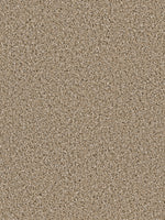 Load image into Gallery viewer, Dream Weaver COSMOPOLITAN
