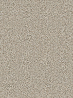 Load image into Gallery viewer, Dream Weaver COSMOPOLITAN
