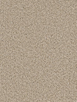 Load image into Gallery viewer, Dream Weaver COSMOPOLITAN
