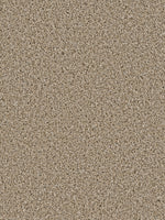 Load image into Gallery viewer, Dream Weaver COSMOPOLITAN
