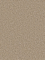 Load image into Gallery viewer, Dream Weaver COSMOPOLITAN
