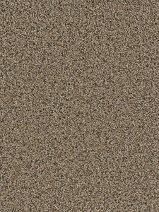 Dream Weaver SOFT TEMPO