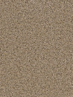Load image into Gallery viewer, Dream Weaver SOFT TEMPO
