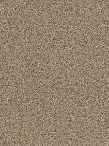 Dream Weaver SOFT TEMPO