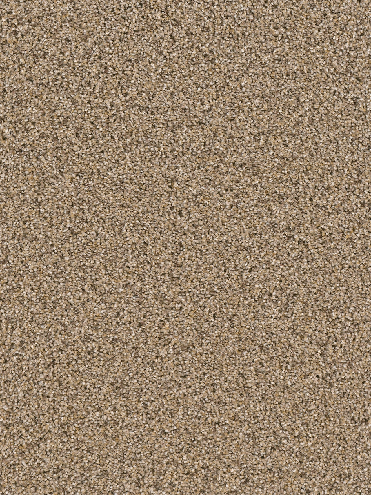 Dream Weaver SOFT TEMPO