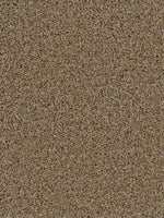 Load image into Gallery viewer, Dream Weaver SOFT TEMPO
