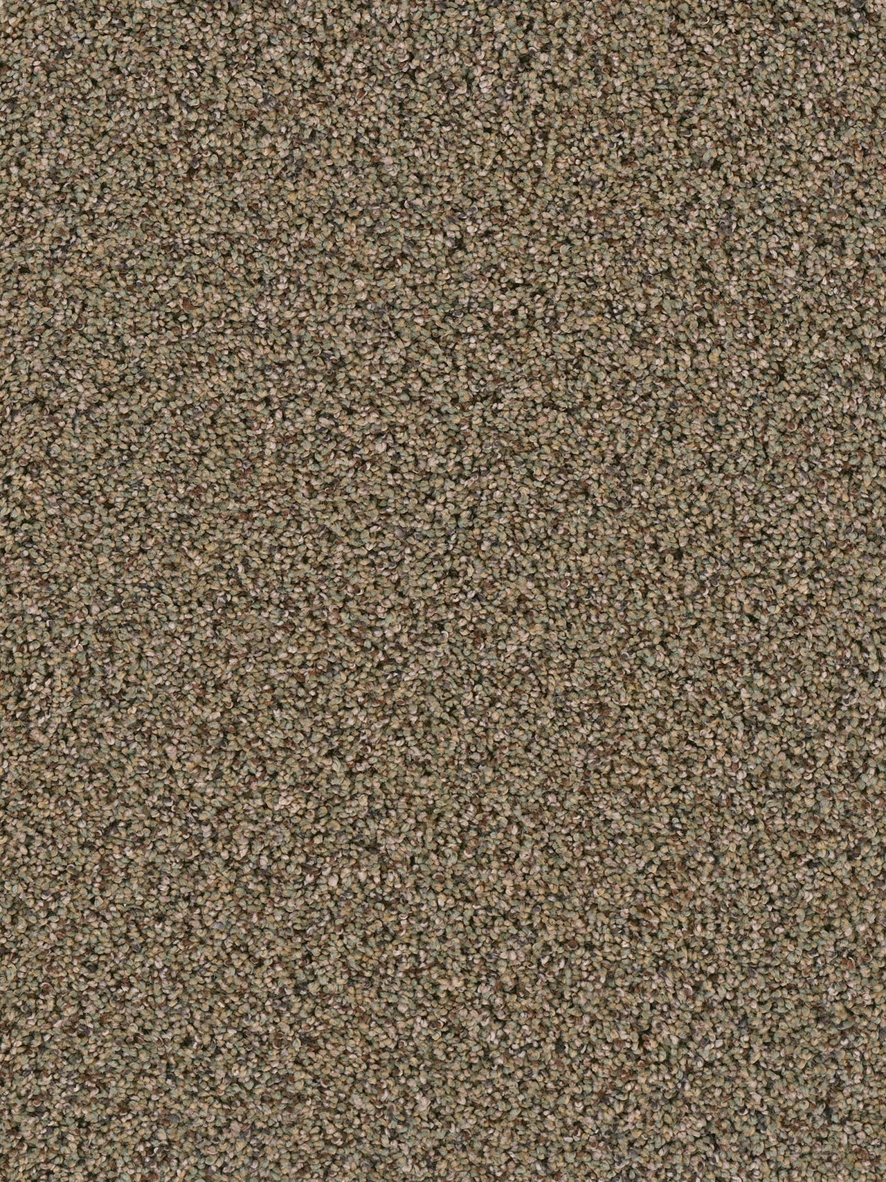 Dream Weaver SOFT TEMPO