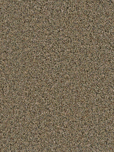 Dream Weaver SOFT TEMPO