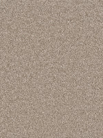 Load image into Gallery viewer, Dream Weaver EAST HAMPTON
