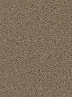 Load image into Gallery viewer, Dream Weaver TRANQUILITY
