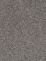 Load image into Gallery viewer, Dream Weaver TRENDSETTER II
