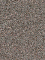 Load image into Gallery viewer, Dream Weaver SOFT HARMONY II
