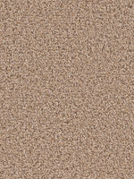 Load image into Gallery viewer, Dream Weaver SOFT HARMONY II
