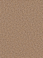 Load image into Gallery viewer, Dream Weaver SOFT HARMONY II

