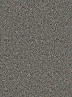 Load image into Gallery viewer, Dream Weaver SOFT TEMPO
