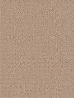 Load image into Gallery viewer, Dream Weaver TOUCH OF CLASS
