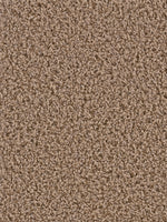 Load image into Gallery viewer, Dream Weaver GEMSTONE
