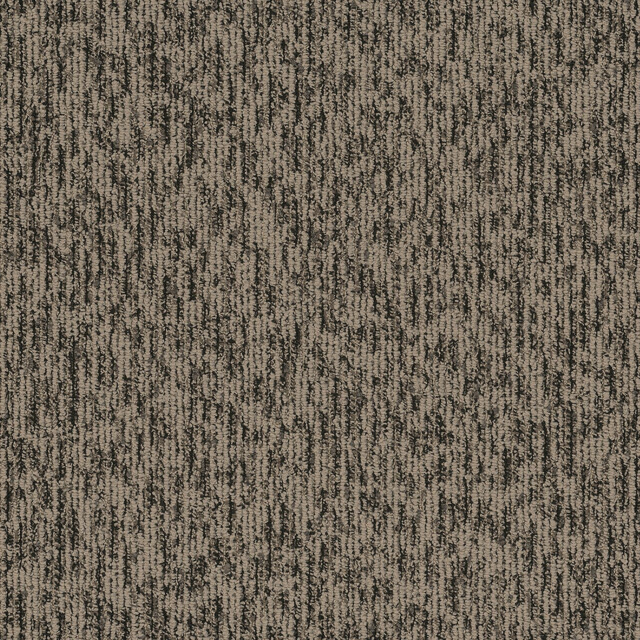 Pentz Commercial SEGMENT BROADLOOM