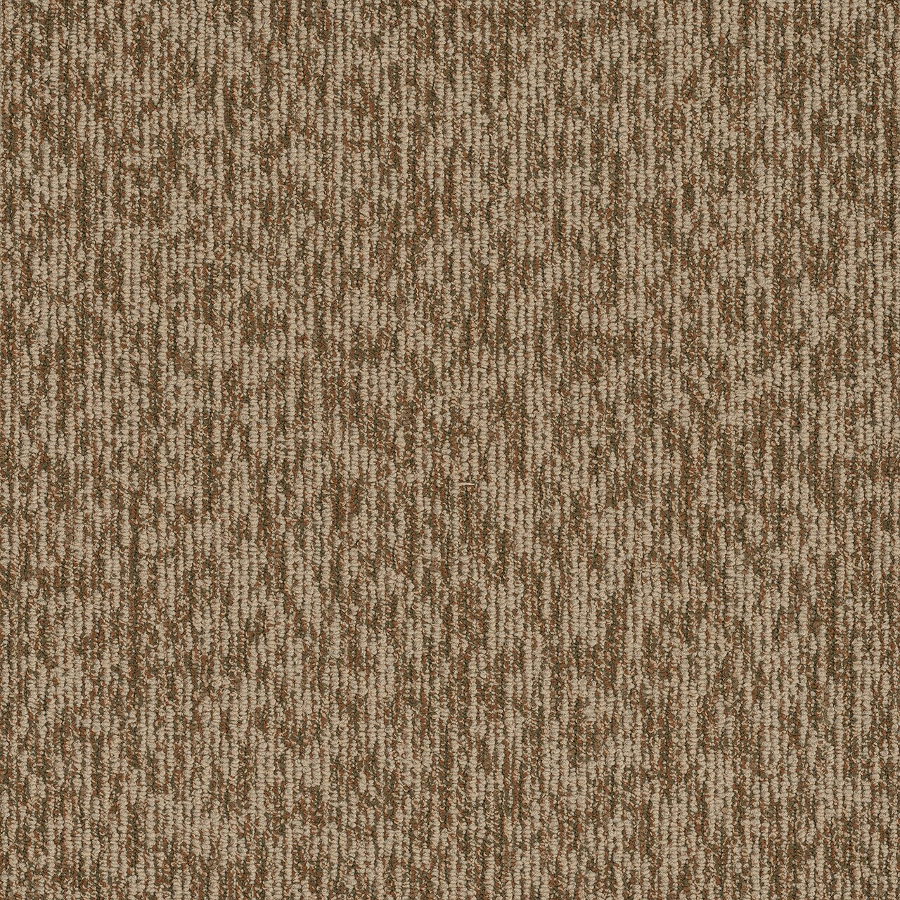 Pentz Commercial SEGMENT BROADLOOM