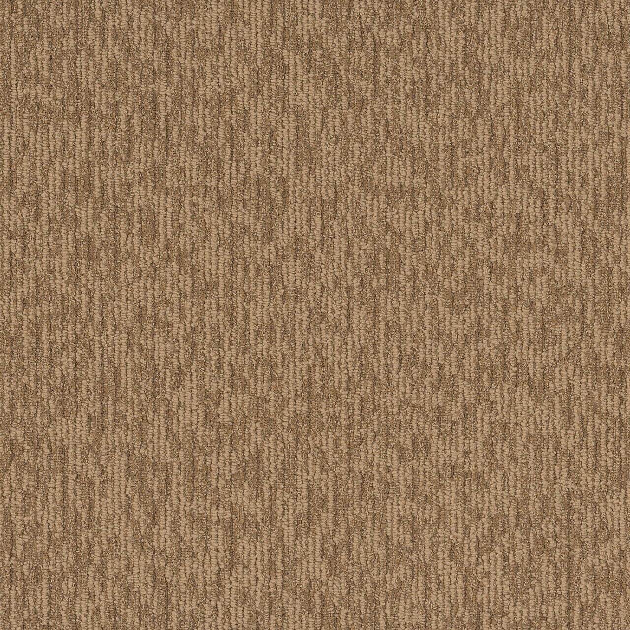 Pentz Commercial SEGMENT BROADLOOM