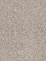 Load image into Gallery viewer, Dream Weaver CEDAR CREEK
