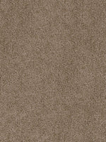 Load image into Gallery viewer, Dream Weaver CEDAR CREEK
