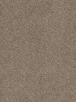 Load image into Gallery viewer, Dream Weaver CEDAR CREEK

