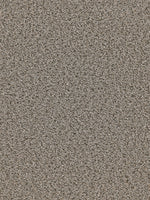 Load image into Gallery viewer, Dream Weaver BROADCAST

