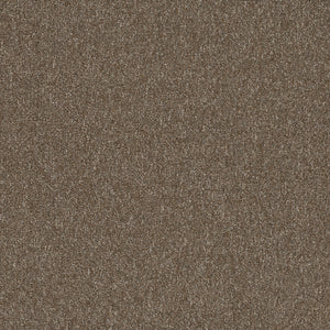 Pentz Commercial DIVERSIFIED TILE
