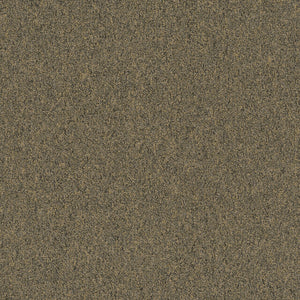 Pentz Commercial DIVERSIFIED TILE