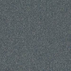 Pentz Commercial DIVERSIFIED TILE