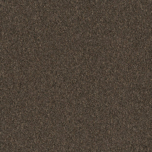 Pentz Commercial DIVERSIFIED TILE