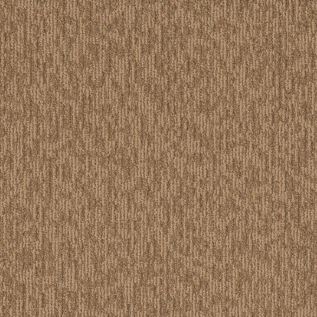 Pentz Commercial SEGMENT TILE